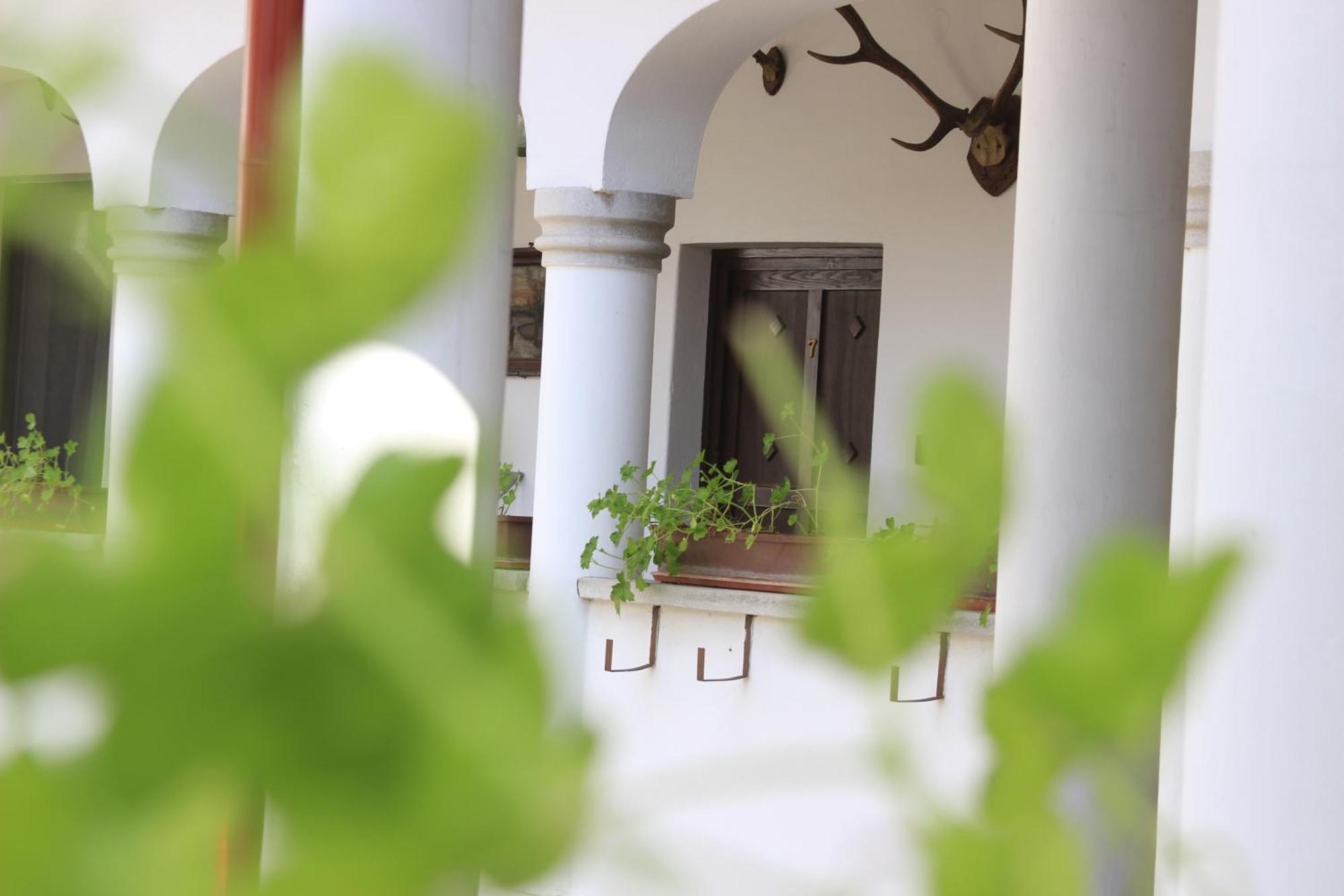 Bed and Breakfast Eden Panzio Еґер Екстер'єр фото